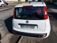 Gebraucht Fiat Panda 69 PS (50 kW) 2020 Weiß Kleinwagen