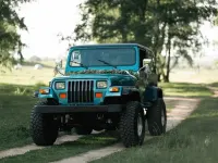 Gebraucht Jeep Wrangler 118 PS (86 kW) 1994 Blau SUV