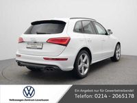 gebraucht Audi SQ5 Weiß