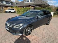Gebraucht Mercedes E220 170 PS (125 kW) 2015 Grau Kombi