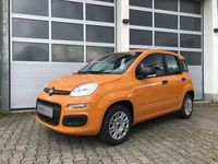 Gebraucht Fiat Panda Easy 69 PS (50 kW) 2019 Orange Kleinwagen