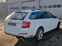 Gebraucht Skoda Octavia 110 PS (80 kW) 2017 Weiß Limousine