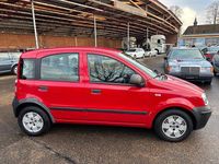 Gebraucht Fiat Panda Active 54 PS (39 kW) 2010 Rot Kleinwagen