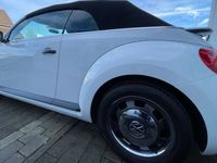 gebraucht VW Beetle Cabriolet 1.2 TSI BMT Sitzheizung/Tempomat TOP!