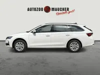 Neu Skoda Octavia Selection 116 PS (85 kW) 2026 Weiß Limousine