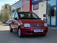 Gebraucht Fiat Panda Dynamic 60 PS (44 kW) 2007 Rosso tiziano Kleinwagen
