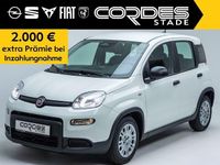 Gebraucht Fiat Panda 69 PS (50 kW) 2024 Colore esterno (weiss) Kleinwagen