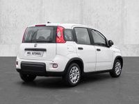 Gebraucht Fiat Grande Panda 69 PS (50 kW) 2024 Weiß Kleinwagen