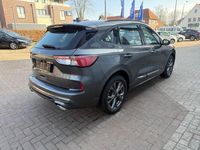 Gebraucht Ford Kuga ST-Line 150 PS (110 kW) 2024 Magneticgrau (metallic) SUV