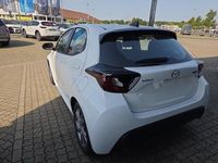 Neu Mazda 2 Exclusive-Line 116 PS (85 kW) 2025 Kleinwagen
