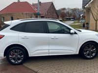 Gebraucht Ford Kuga ST-Line 120 PS (88 kW) 2024 Weiß SUV