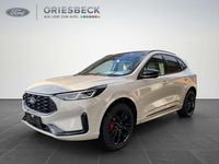 Neu Ford Kuga ST-Line X 242 PS (177 kW) 2026 Metropolisweiß metallic SUV