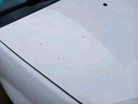 Gebraucht Dacia Sandero 75 PS (55 kW) 2009 Weiß Kleinwagen