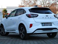 Neu Ford Puma ST-Line 125 PS (91 kW) 2026 Weiß SUV