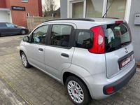 gebraucht Fiat Panda Panda My