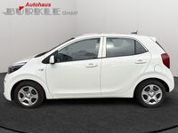 Gebraucht Kia Picanto Edition 7 67 PS (49 kW) 2023 Weiß Kleinwagen