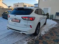Gebraucht Ford Kuga ST-Line 152 PS (111 kW) 2021 Weiß SUV