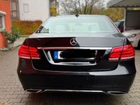 gebraucht Mercedes E220 BlueTEC BE Edition AVANTG. Autom. Edit...