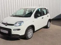 Gebraucht Fiat Panda 69 PS (50 kW) 2024 Weiß Kleinwagen