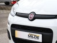Neu Fiat Panda 69 PS (50 kW) 2025 Weiß Kleinwagen