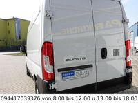 Gebraucht Fiat Ducato 140 PS (102 kW) 2025 Weiß Van
