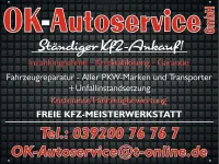 Gebraucht Seat Ibiza XCELLENCE 110 PS (80 kW) 2021 Grau Limousine