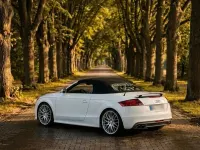 Gebraucht Audi TT Roadster Premium 272 PS (200 kW) 2012 Weiß Cabrio