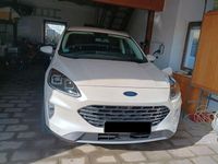 Gebraucht Ford Kuga Titanium X 224 PS (164 kW) 2021 Weiß SUV
