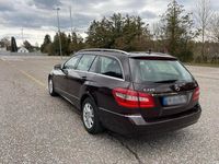 Gebraucht Mercedes E220 170 PS (125 kW) 2011 Braun Kombi