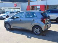Neu Kia Picanto Vision 68 PS (50 kW) 2025 (m7g) astro grey m Kleinwagen