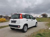 Gebraucht Fiat Panda 69 PS (50 kW) 2014 Weiß Kleinwagen