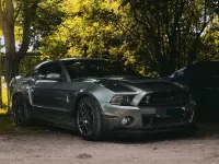 Gebraucht Ford Mustang 662 PS (486 kW) 2014 Grau Coupé