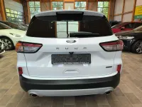 Gebraucht Ford Kuga Titanium 224 PS (164 kW) 2023 Weiß SUV