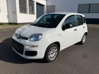 Occasion Fiat Panda Easy 69 ch (50 kW) 2017 Blanc Citadine