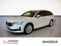 Neu Skoda Octavia Selection 150 PS (110 kW) 2026 Moonweiß perleffekt Kombi