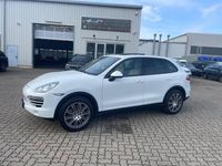 Gebraucht Porsche Cayenne Platinum Edition 245 PS (180 kW) 2014 Weiß SUV