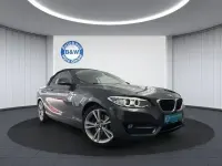Gebraucht BMW 220 Performance 184 PS (135 kW) 2015 Grau Cabrio