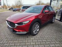Gebraucht Mazda CX-30 Exclusive-Line 150 PS (110 kW) 2024 Soul red crystal m (metallic) SUV