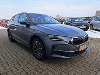 Neu Skoda Octavia Selection 150 PS (110 kW) 2026 Grau Limousine