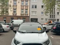 Używany Ford Focus ST-Line 125 KM (91 kW) 2019 Biały SUV