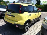 Neu Fiat Panda Cross Cross 65 PS (47 kW) 2026 Positano gelb Kleinwagen