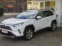 Gebraucht Toyota RAV4 Hybrid Club 218 PS (160 kW) 2019 Weiß SUV