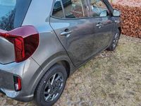 Neu Kia Picanto Vision 63 PS (46 kW) 2025 Grau Kleinwagen