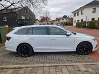 Gebraucht Skoda Octavia 149 PS (109 kW) 2020 Weiß Kombi