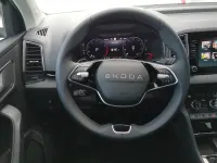 Neu Skoda Karoq Selection 150 PS (110 kW) 2026 Stahlgrau SUV