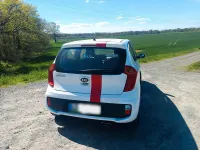 Używany Kia Picanto 69 KM (50 kW) 2014 Biały Hatchback