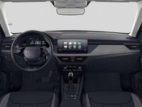 Neu Skoda Kamiq Selection 150 PS (110 kW) 2026 Graphitegrau metallic/schwarz SUV