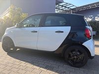 Gebraucht Smart ForFour 71 PS (52 kW) 2019 Weiß Kleinwagen