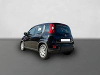 Gebraucht Fiat Panda 69 PS (50 kW) 2025 Schwarz Kleinwagen