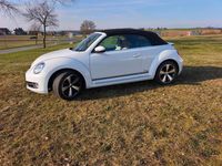 Gebraucht VW Beetle Cabriolet Cup 105 PS (77 kW) 2014 Weiß Cabrio